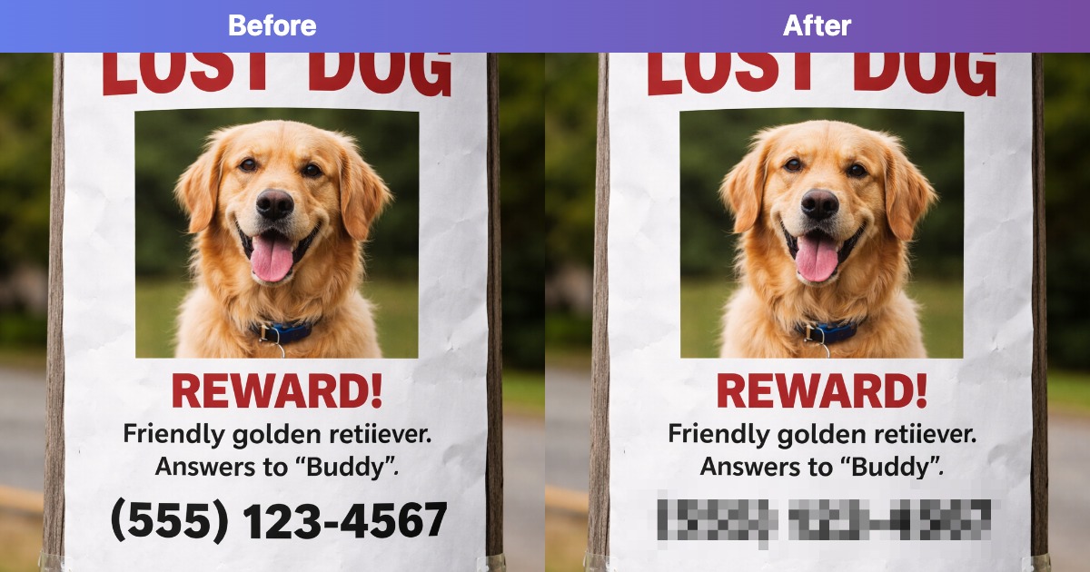 Blur Text in Image Online