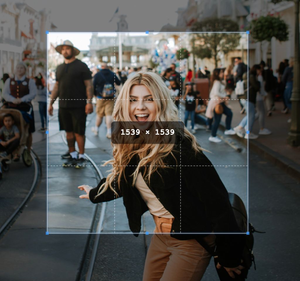 Comparison of popular online cropping websites